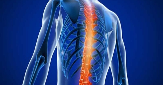 The Importance of Spinal Health for Overall Wellness